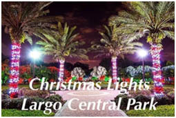 Newsletter August 2022 Largo Christmas Lights